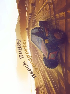 Beach Buggy Transporter游戲截圖1