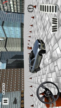 Xtreme Car Parking游戲截圖1