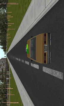 Police & Taxi Plane Transport游戲截圖3