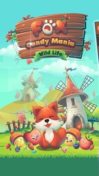 Fox Candy Mania - Wild Life游戲截圖1