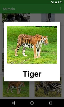 Animals Names游戲截圖3