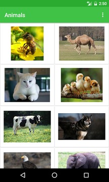 Animals Names游戲截圖2