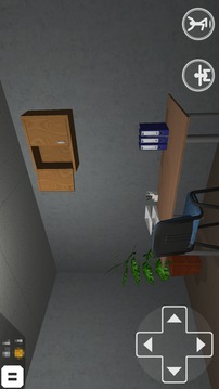 Room Escape - Gold Coins -游戲截圖3
