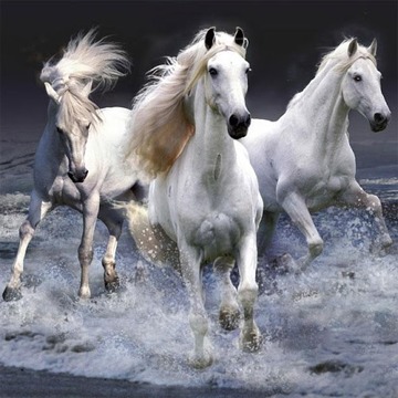 Yo Jigsaw Puzzle: Horses游戲截圖3