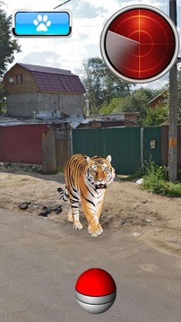 Pocket Beast GO游戲截圖4