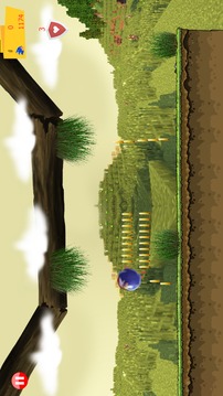 Floppy Bird-Sonic Apple游戲截圖1