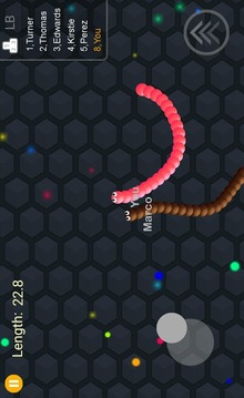 Slither Snake 2017游戲截圖5