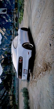 Driving Mustang Simulator 3D游戲截圖1