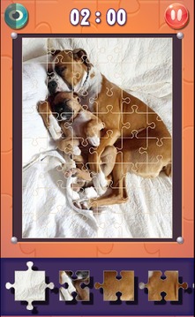 Dog Jigsaw Puzzles游戲截圖5