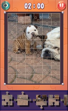 Dog Jigsaw Puzzles游戲截圖4