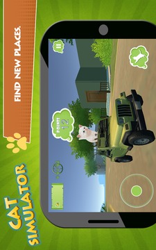 Cat Kitten 3d Online Simulator游戲截圖5