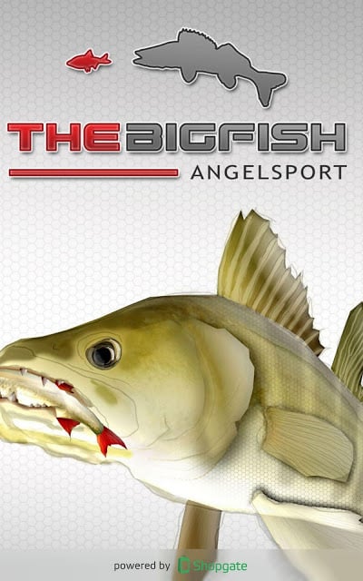 thebigfishangelshop