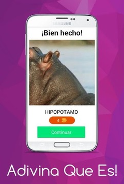 Adivina Que Es!游戲截圖5