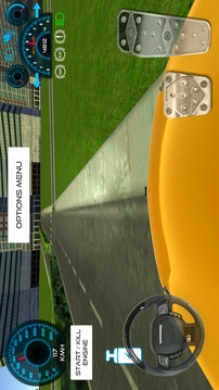 Clio Driving Simulator游戲截圖4