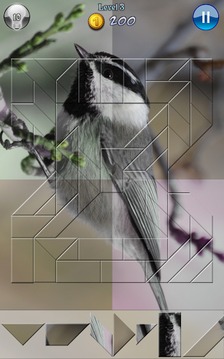 Hidden Pieces: Winter Birding游戲截圖4