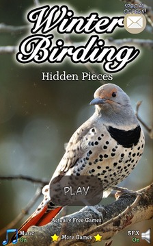 Hidden Pieces: Winter Birding游戲截圖1