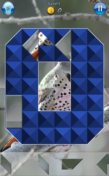 Hidden Pieces: Winter Birding游戲截圖5