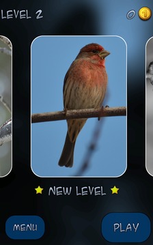 Hidden Pieces: Winter Birding游戲截圖2