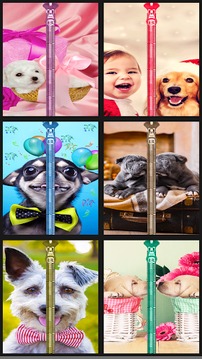Cute Puppy Lock Screen Prank游戲截圖1