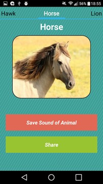 Sounds of Animals for Babies游戲截圖3