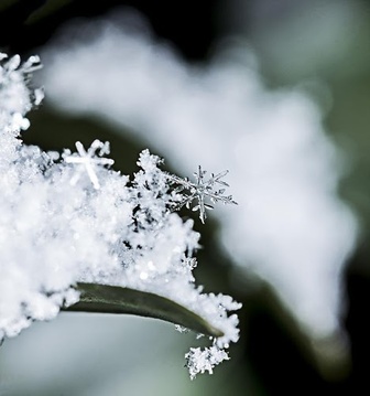 Snow Jigsaw Puzzles游戲截圖4