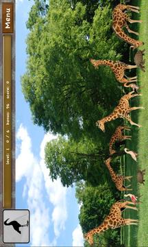 Click! Zoo游戲截圖2