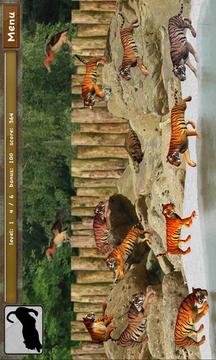 Click! Zoo游戲截圖4