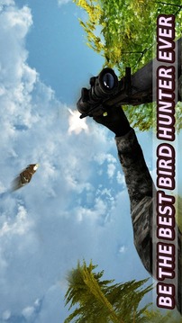 Bird Hunting Master Shooter游戲截圖4