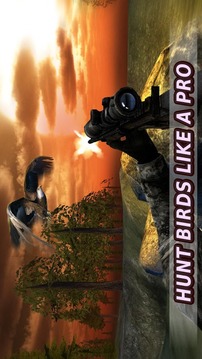 Bird Hunting Master Shooter游戲截圖5