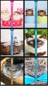 Cat Zipper Lock Screen Prank游戲截圖1