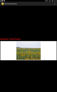 summer countdown游戲截圖5