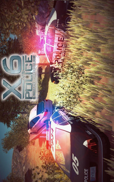 X6 Vs Police游戲截圖1