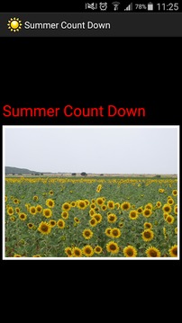 summer countdown游戲截圖1