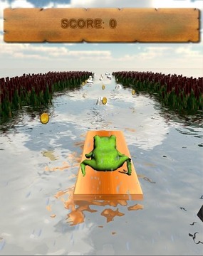 Frog Maritime Adventure游戏截图4