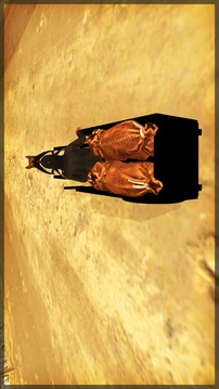 Racing Cart simulator 2017游戲截圖2