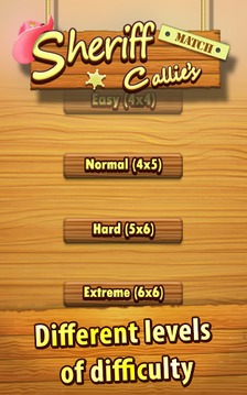 Callie Memory Games游戲截圖2