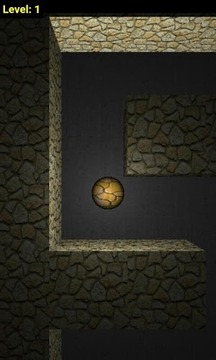 DARK-MAZE-3D游戲截圖4