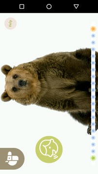 Piccoli Zoo游戲截圖3