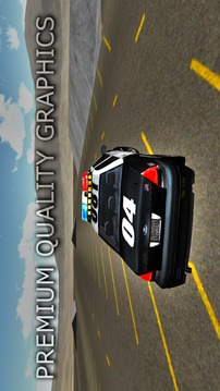 Police Drift Car游戲截圖2