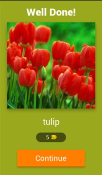 Flowers Quiz Trivia游戲截圖2