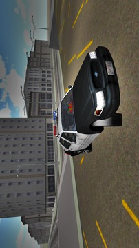 Police Drift Car游戲截圖1