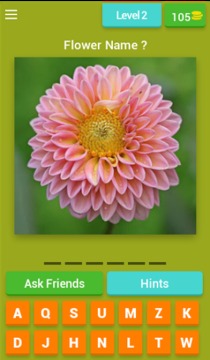 Flowers Quiz Trivia游戲截圖3