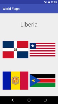 World Flags游戏截图4