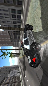 Police Drift Car游戲截圖3