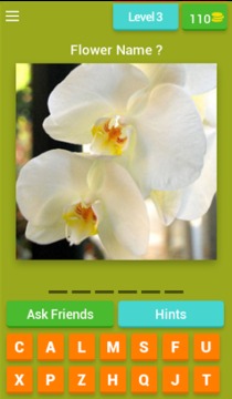 Flowers Quiz Trivia游戲截圖4