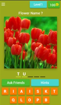 Flowers Quiz Trivia游戲截圖1