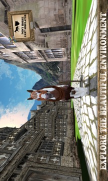 Pony Horse Cart Simulator 3D游戲截圖4