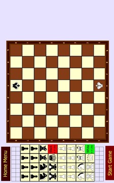 Chess Face to Face Positions游戲截圖2