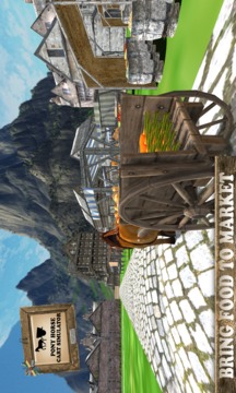 Pony Horse Cart Simulator 3D游戲截圖3