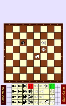 Chess Face to Face Positions游戲截圖5